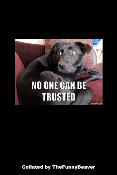 Funny April Fools Memes 31