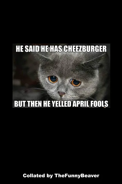 Funny April Fools Memes 50