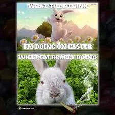 Funny Dirty Easter Memes