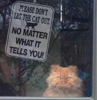 Funny Animal Pics With Sayings