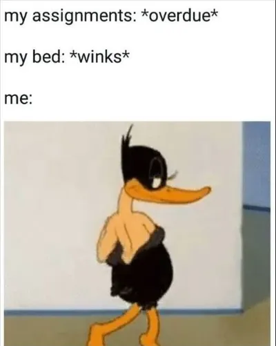 20 Funny University Memes For Students 