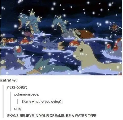 Pokemon Memes