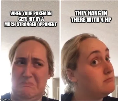 Pokemon Memes