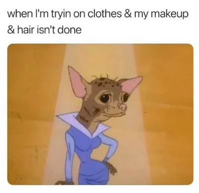Relatable Chihuahua Memes