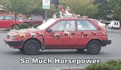 20 Hysterical Car Memes To Share With A Car Lover 