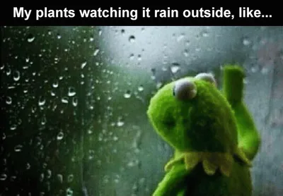 Memes Of The Week To Laugh At