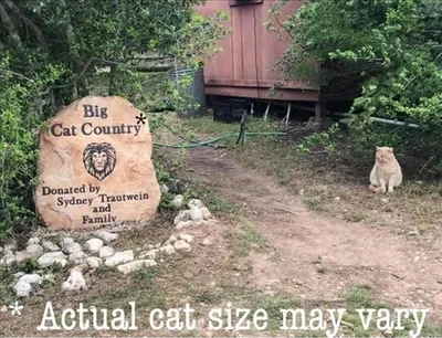 Memes Of The Week To Share With Your Kids