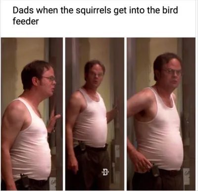 Best Memes Of The Week