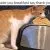 Top 28 Funny Animal Memes Of The Day 607D9Aea0C4Bb