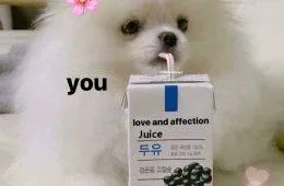 22 Cute And Wholesome Memes To Share With Friends