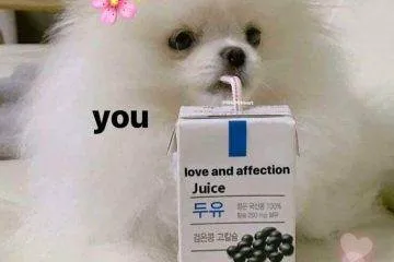 22 Cute And Wholesome Memes To Share With Friends