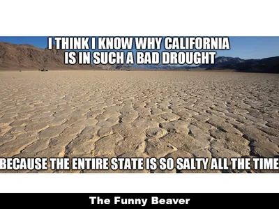 Drought Memes 12 1