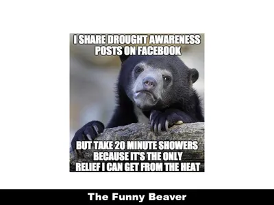 Drought Memes 20 1