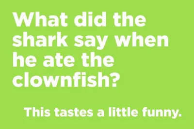 20 Seriously Funny Jokes You Must Read 