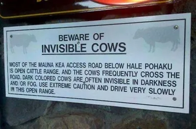 15 Funny Signs To Laugh At And Share With Friends 