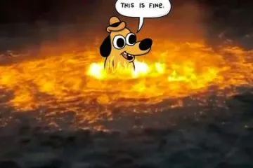 15 Funny Gulf Of Mexico Memes