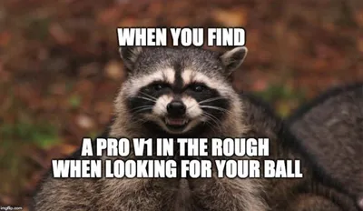 30 Hilarious Golf Memes 