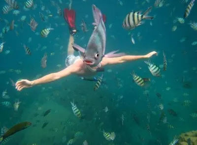 30 Awesome Photo Bombs 