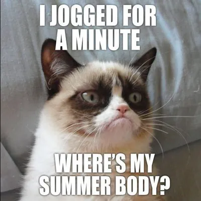 20 Cute Summer Cat Pictures To Share With Friends