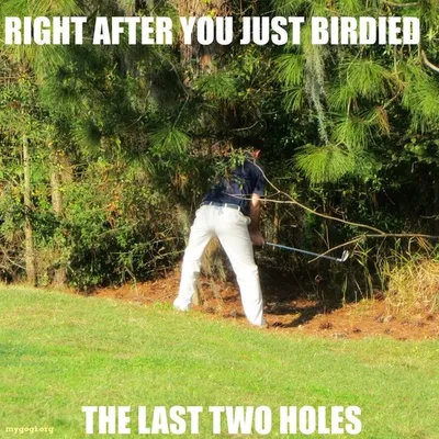 30 Hilarious Golf Memes 