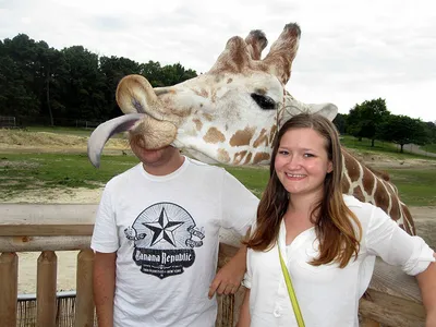 30 Awesome Photo Bombs 