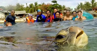 30 Awesome Photo Bombs 