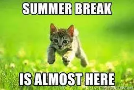 20 Cute Summer Cat Pictures To Share With Friends