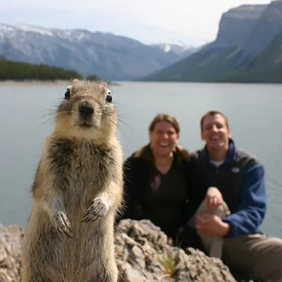 30 Awesome Photo Bombs 