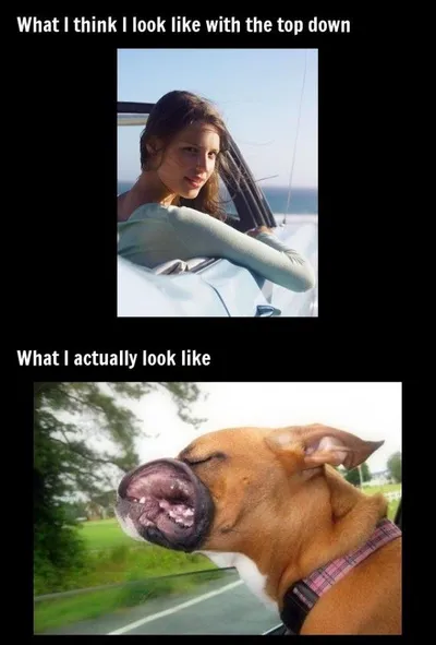 20 Hilarious Expectations Vs Reality Memes 