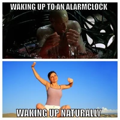 30 Super Funny Memes For College Students 