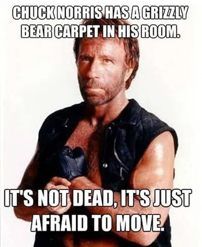 21 Great Chuck Norris Memes That Will Leave You Laughing