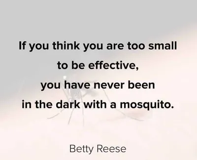 29 Amazing Inspirational Quotes To Uplift You 