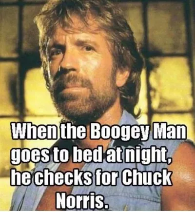 21 Great Chuck Norris Memes That Will Leave You Laughing
