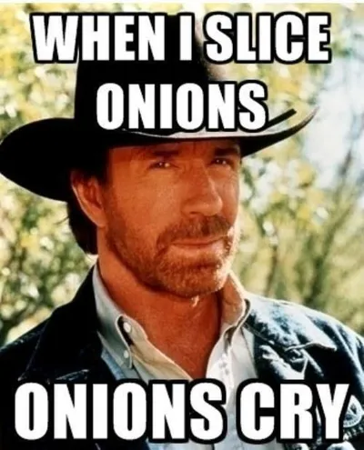 21 Great Chuck Norris Memes That Will Leave You Laughing
