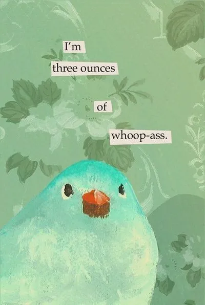 31 Relatable Memes That Will Make You Laugh Out Loud 