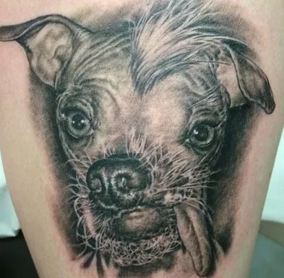 20 Epic Tattoo Fails That Will Make You Laugh