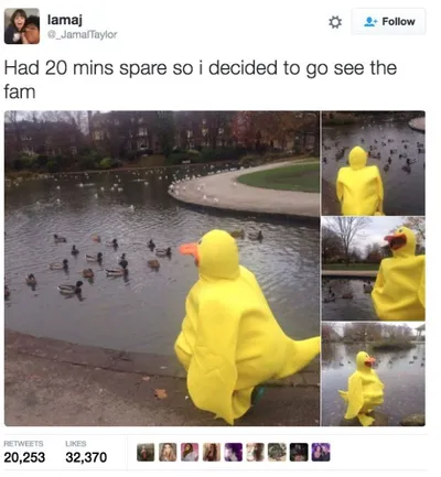 30 Cute And Wholesome Memes To Make You Feel Good 