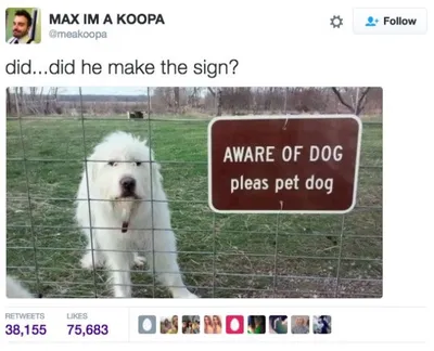 30 Cute And Wholesome Memes To Make You Feel Good 