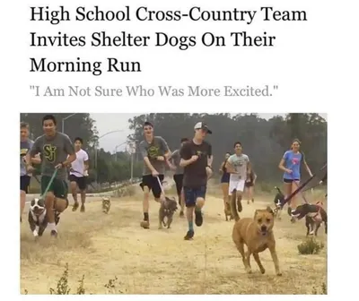 30 Cute And Wholesome Memes To Make You Feel Good 