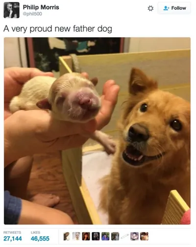 30 Cute And Wholesome Memes To Make You Feel Good 