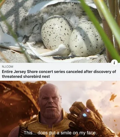 30 Cute And Wholesome Memes To Make You Feel Good 