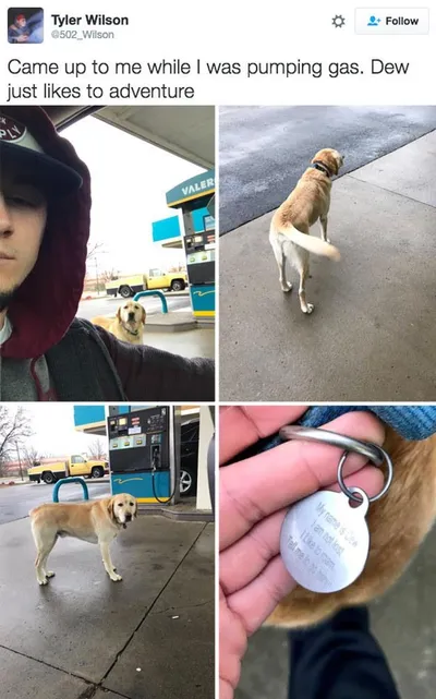 30 Cute And Wholesome Memes To Make You Feel Good 