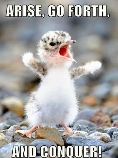 30 Inspiring Motivational Quotes To Keep You Going 