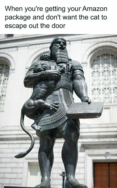 30 Adorable Cat Memes For You To Enjoy 