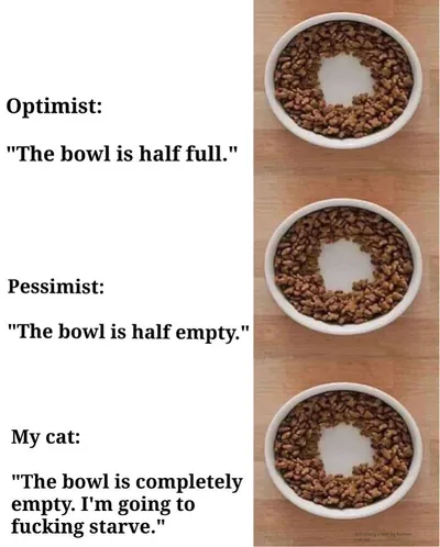 30 Adorable Cat Memes For You To Enjoy 