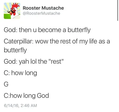 30 Random Memes That Are Too Funny To Categorise 