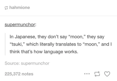 30 Random Memes That Are Too Funny To Categorise 