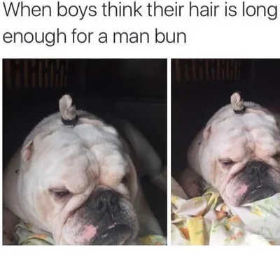 30 Random Memes That Are Too Funny To Categorise 