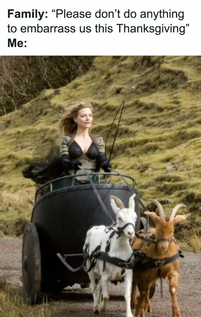 30 Festive Thanksgiving Memes That Are So Relatable