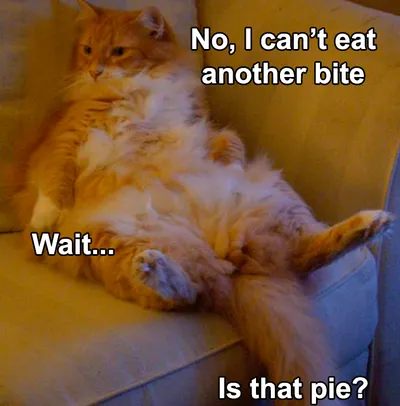 30 Festive Thanksgiving Memes That Are So Relatable